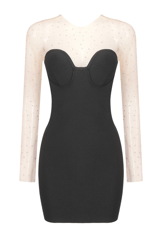 Crystal Aarohi Mesh Mini Dress