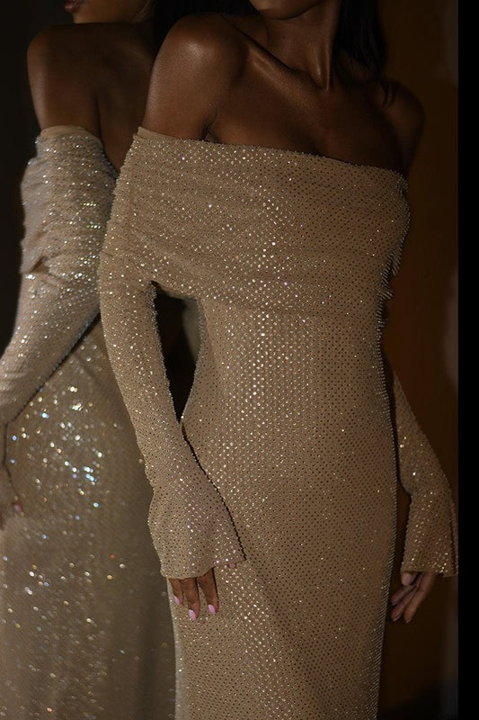 Bodycon Edition Sequin Maxi Party Dress