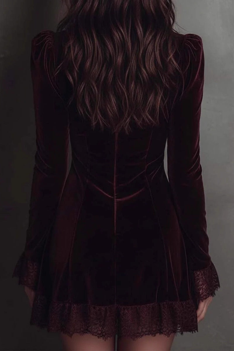 Lace Velvet Trim Mini Dress