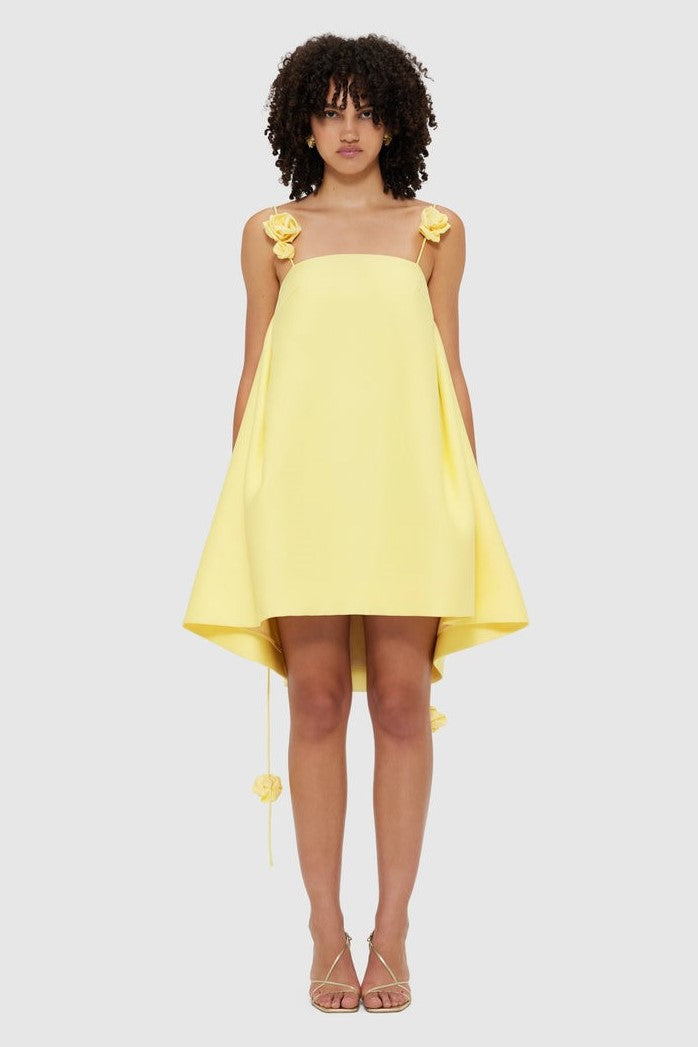 Spaghetti Emma Strap Rose Detail Mini Dress