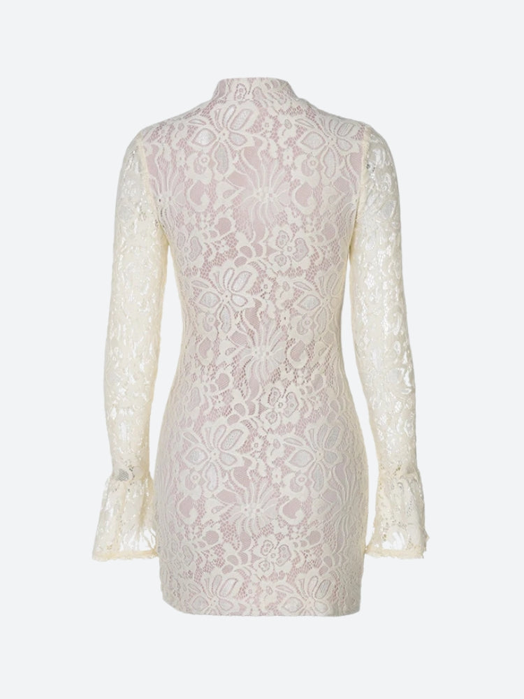 Cut Lace Out Mini Dress