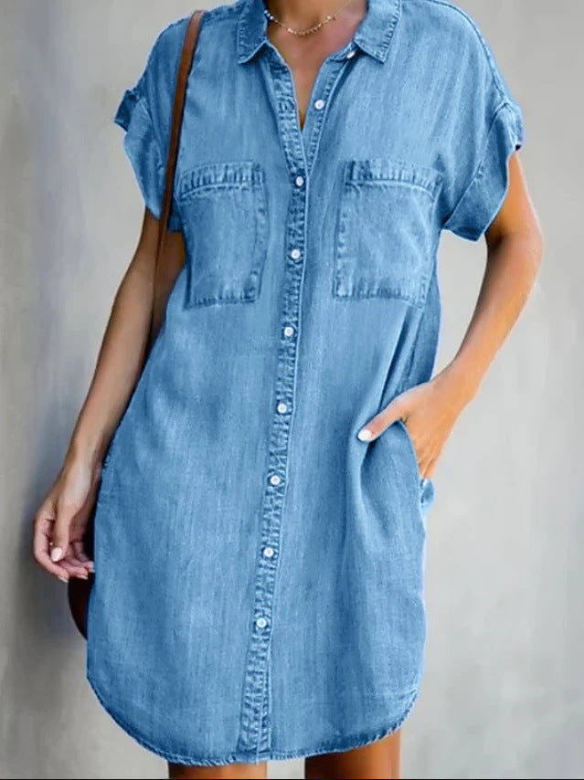Pintuck Ginnie Button Down Shirt Dress
