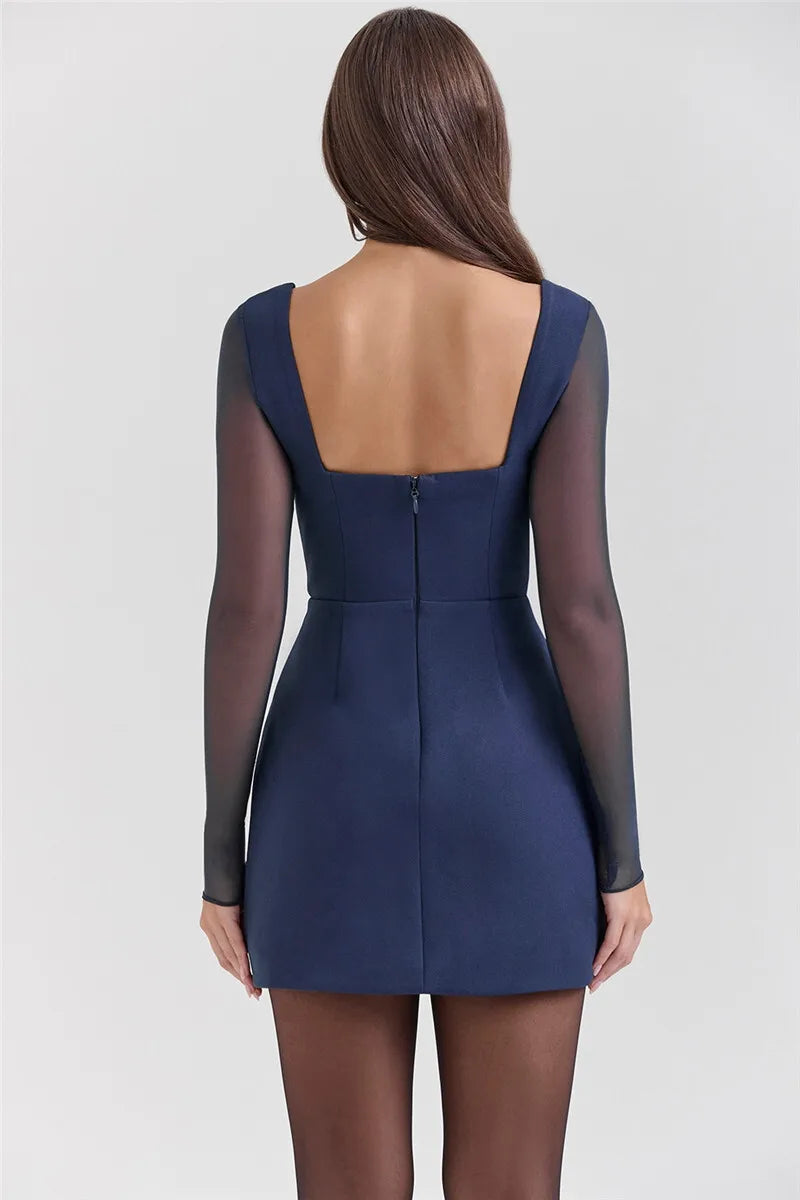 Neck Plunge Sheer Sleeve Mini Dress