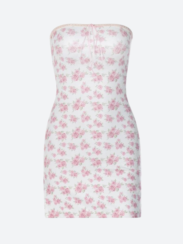 Soft Girl Botanical Tube Mini Dress