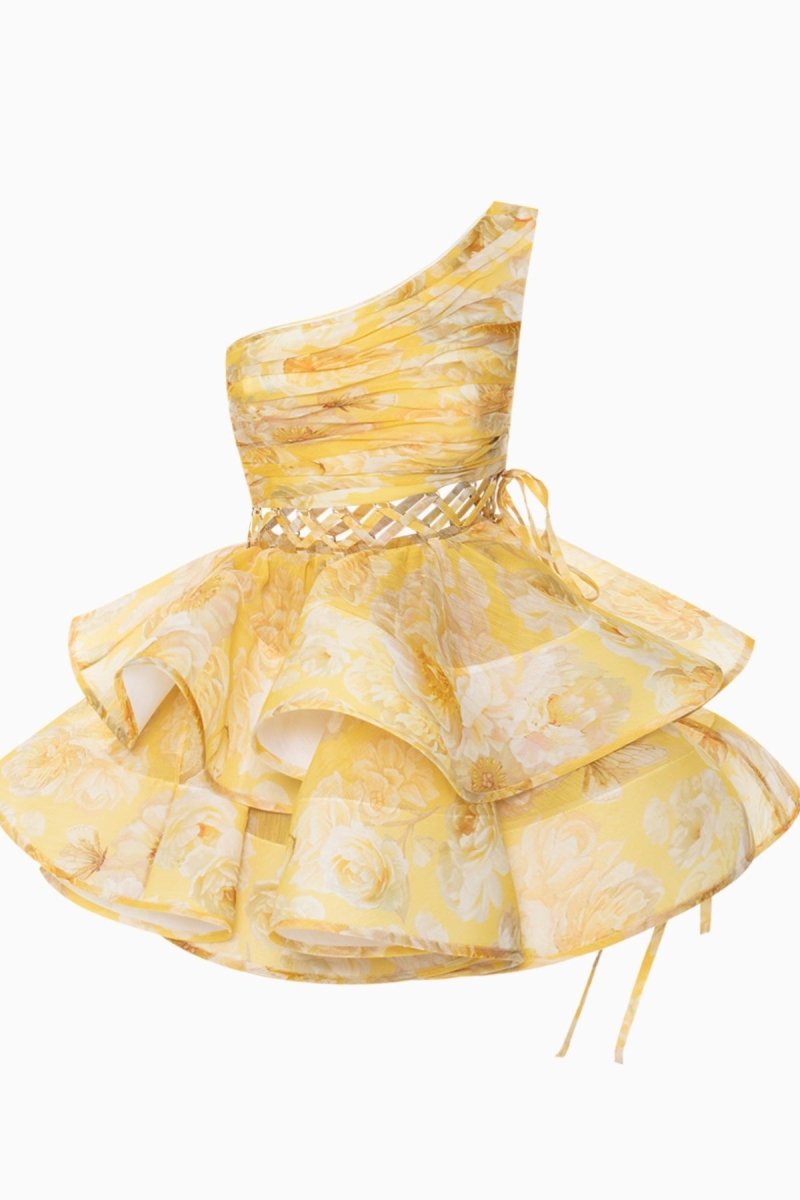 Paula Premium Flower Print One Shoulder Chiffon Mini Dress Everyday Luxe Edit