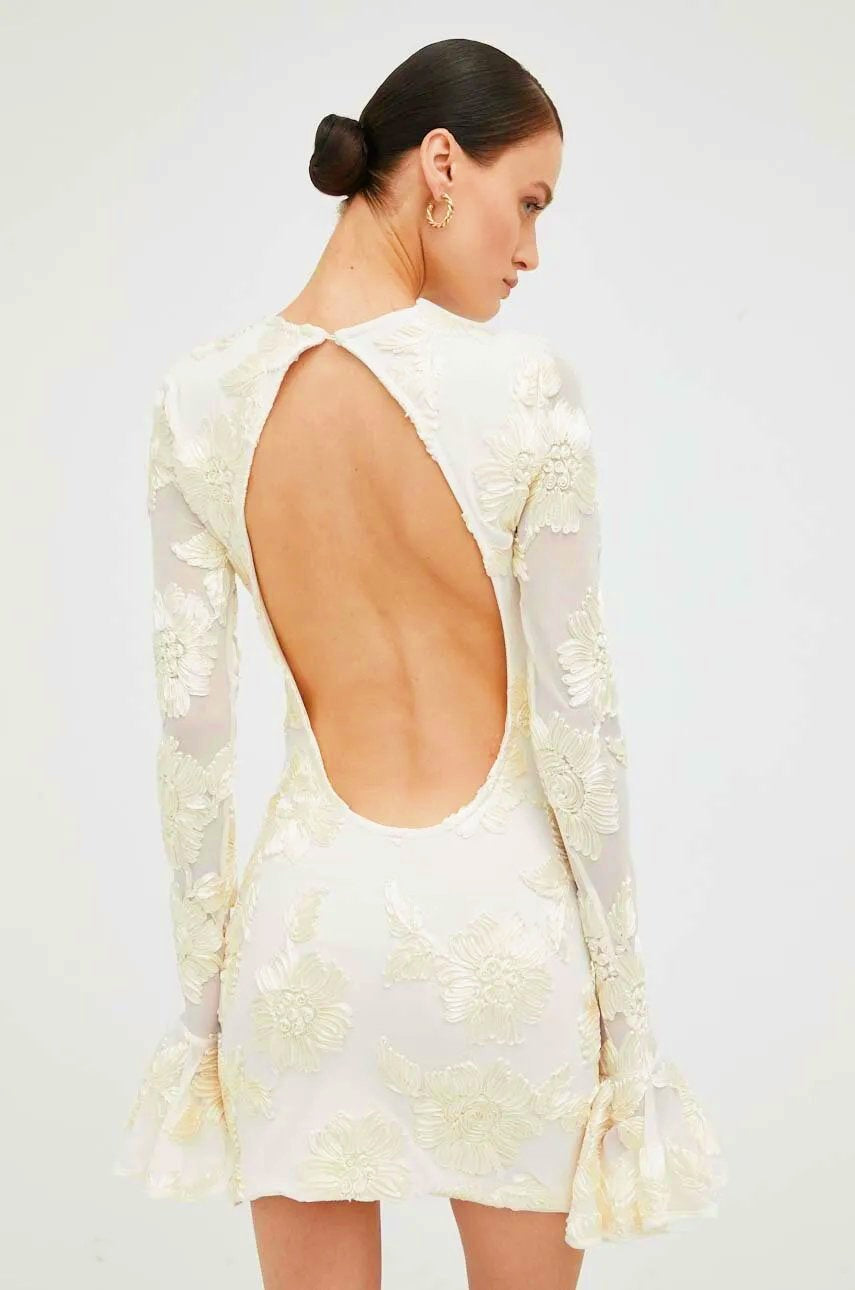 Chic Norma Backless Embroidered Mesh Mini Dress Silhouette Collection