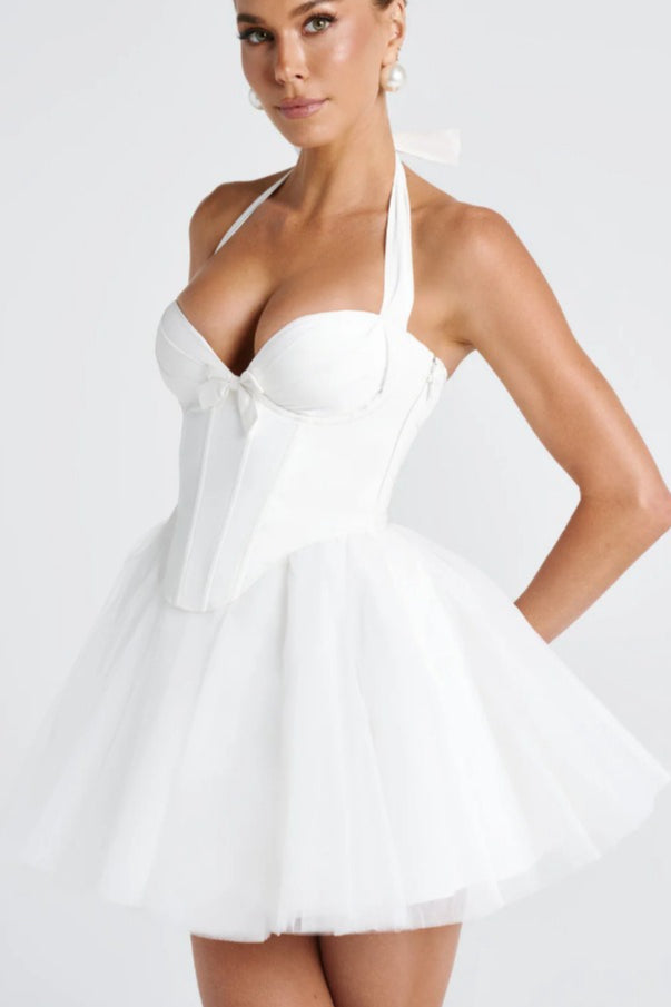 Halter Boned Lace Tie Waist Tulle Mini Dress