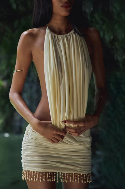 Backless Chic Tassel Bodycon Vacation Dress
