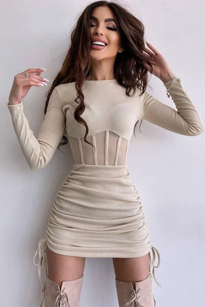 Mesh Sheer Bodycon Mini Dress