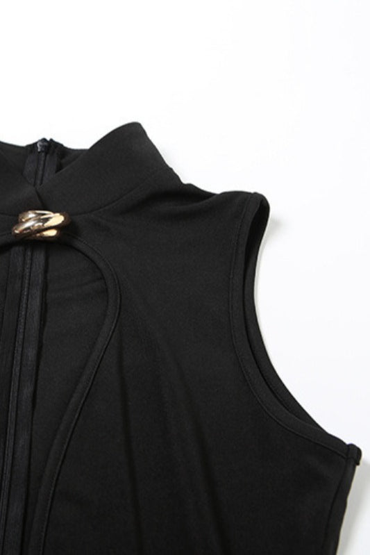 Sleeveless Sheer Bodycon Mini Dress
