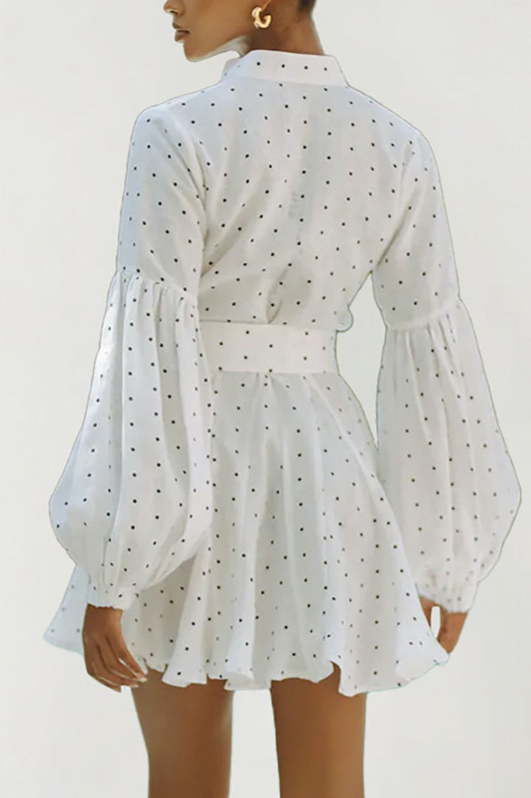 Dot Polka Lantern Sleeve Tie Mini Dress