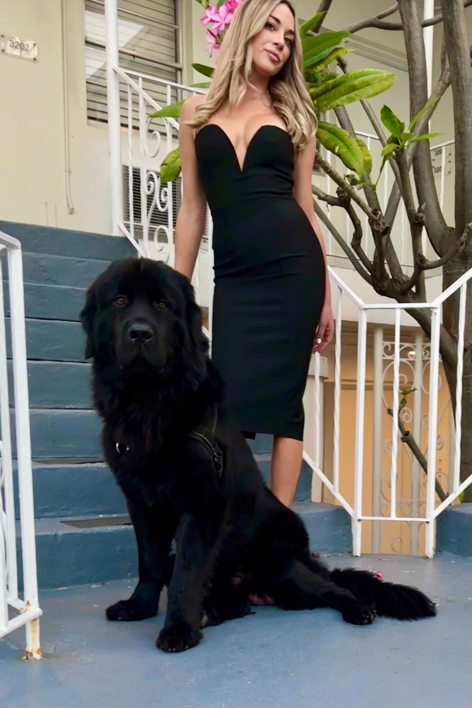 Seraphic Fior Figure-Flattering Dress Evening Elegance