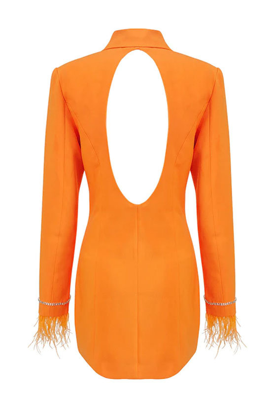 Glam Feather Trim Long Sleeve Cutout Back Blazer Mini Dress - Orange