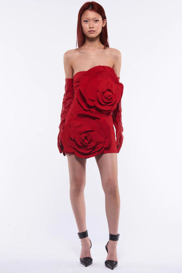 Sarrili 3D Bloom Corset Mini Dress