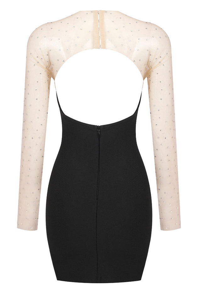 Crystal Aarohi Mesh Mini Dress