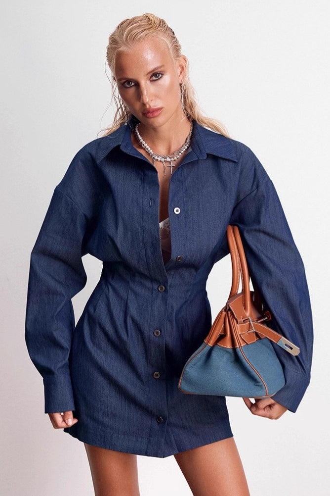 Shirt Denim A Line Mini Dress