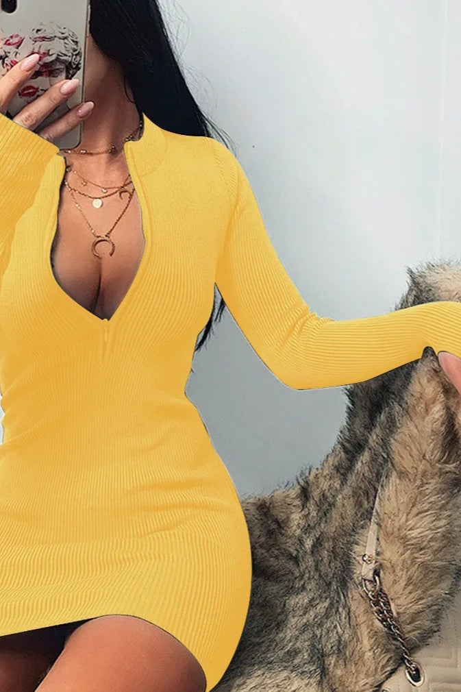 Sleeve Long Rib Knit Mini Dress