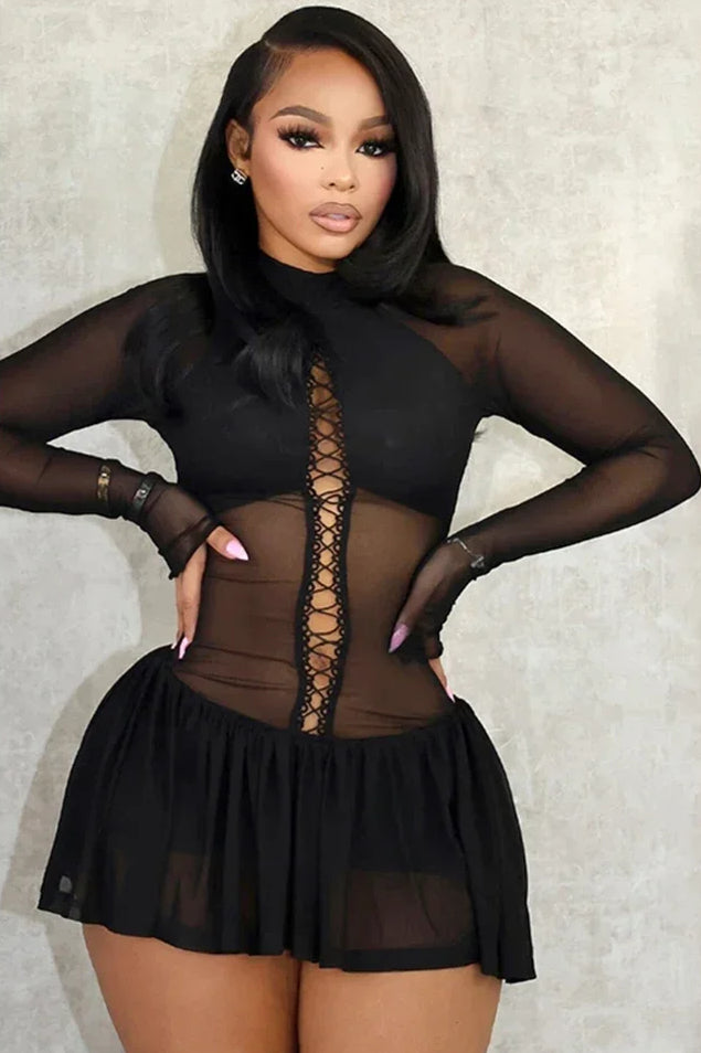 Mesh Pleated Full Sleeve Mini Dress