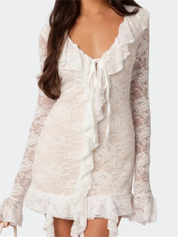Sophisticated Lace Mesh Long Sleeve Mini Dresses