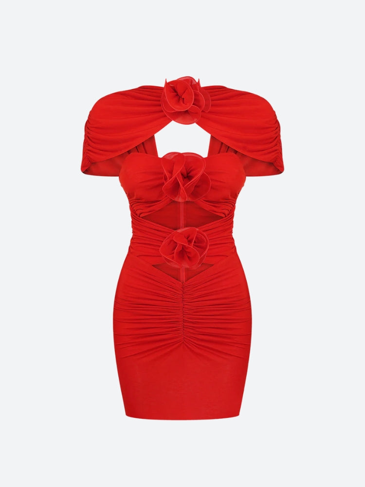 Botanical Cut Out Mesh Mini Dress