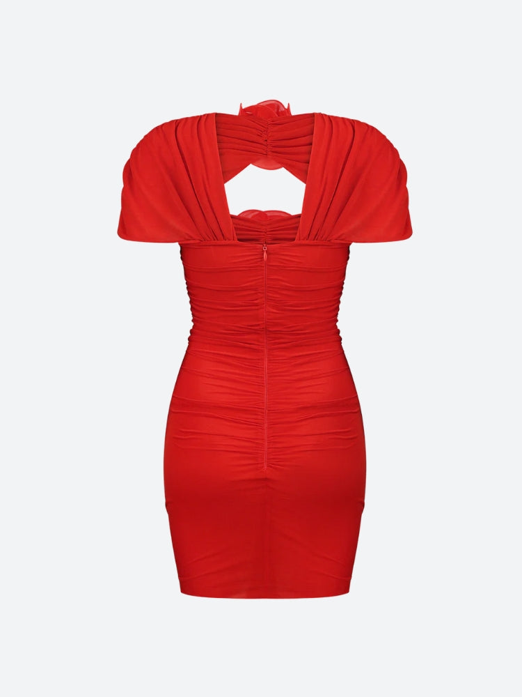 Botanical Cut Out Mesh Mini Dress