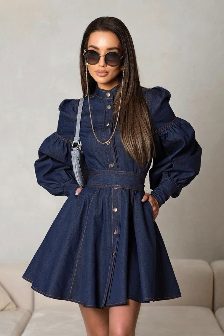 Puff Lena Sleeve Denim Mini Dress