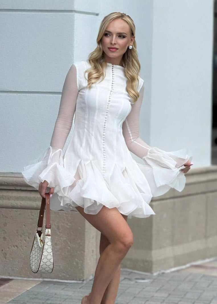 Sheer Celeste Sleeve Ruffle Mini Dress