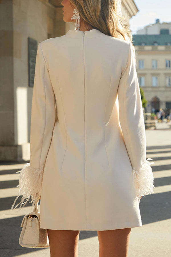 Feather Emilia Trim Long Sleeve H line Mini Dress