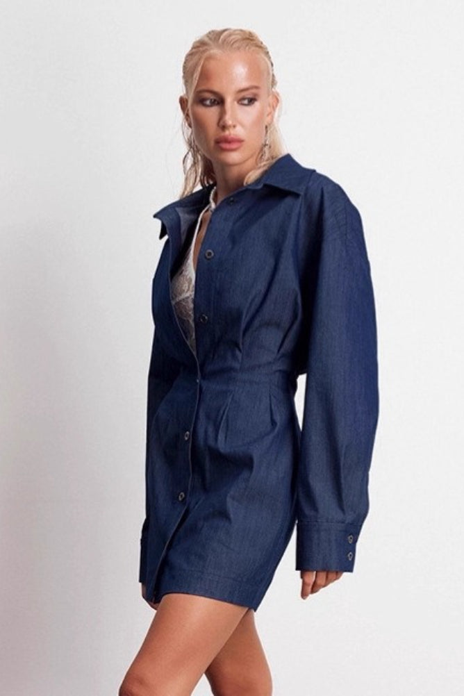 Shirt Denim A Line Mini Dress