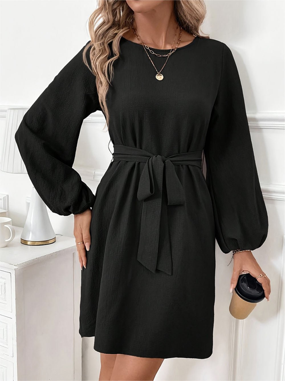 Long Alina Sleeve Mini Dress
