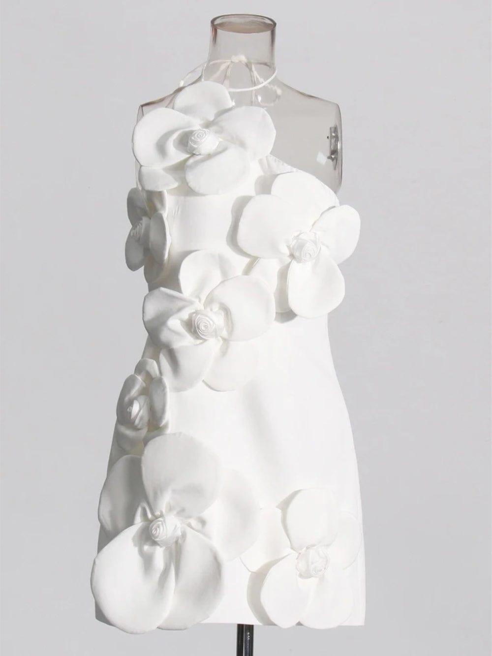 Appliques Andi Backless Mini Dress