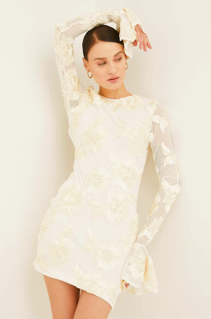Chic Norma Backless Embroidered Mesh Mini Dress Silhouette Collection