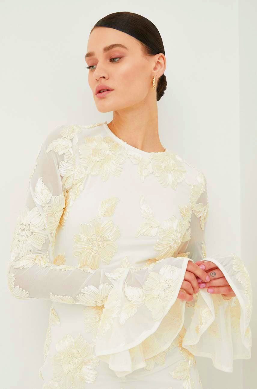 Chic Norma Backless Embroidered Mesh Mini Dress Silhouette Collection