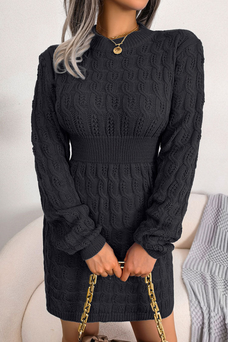 Winter Cozy Fisherman Cable Knit Bodycon Sweater Mini Dress - Black