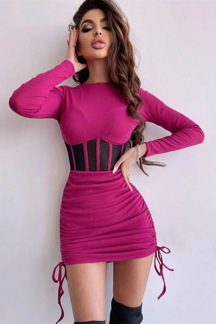 Mesh Sheer Bodycon Mini Dress