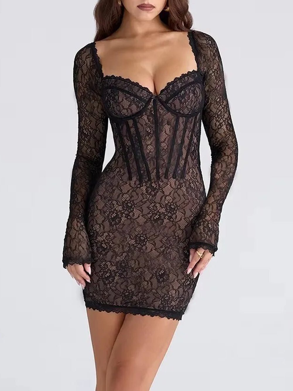 Lace Elara Sheer Mini Dress