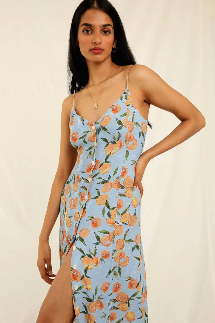Fruit Groovy Printed Button Up French Style Slip Midi Dress -Blue