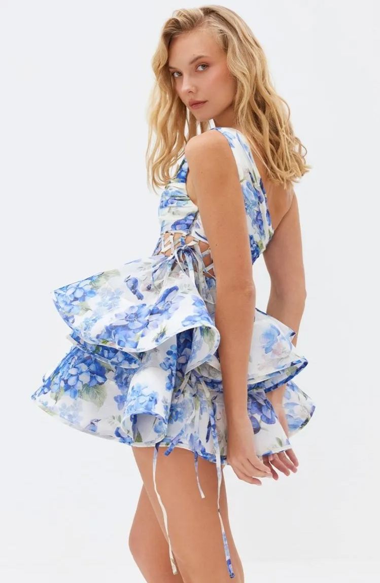 Paula Premium Flower Print One Shoulder Chiffon Mini Dress Everyday Luxe Edit