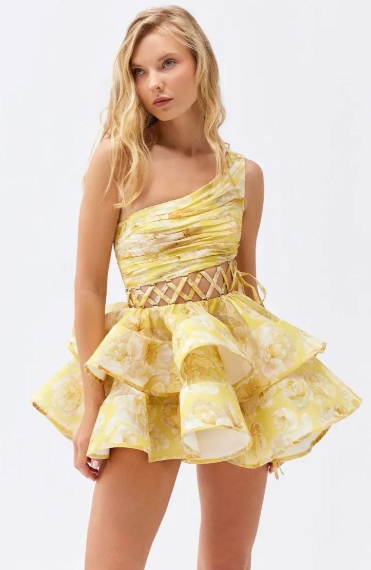 Paula Premium Flower Print One Shoulder Chiffon Mini Dress Everyday Luxe Edit