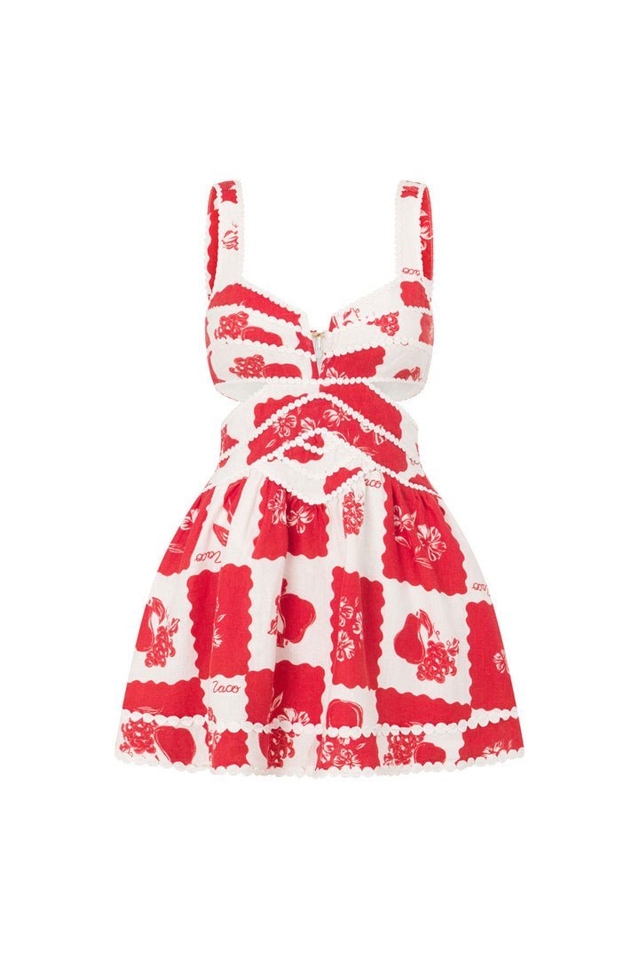 Aesthetic Zoraida Printed Mini Dress with Cut Outs Elevated Occasion Wear