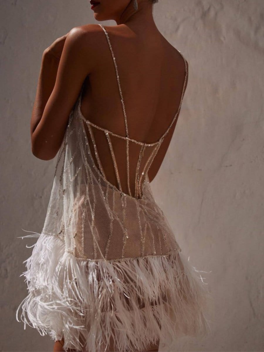 Tassel Marie Mesh Backless Mini Dress