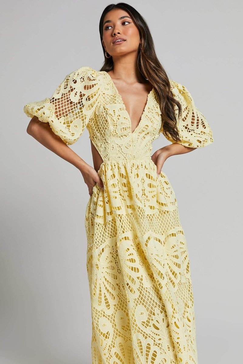 Embroidered Sandra Lace Cut-out Midi Dress