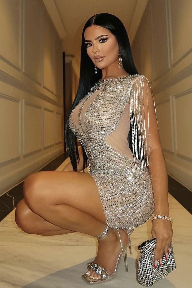 Shimmer Fringe Sleeve Semi Sheer Mesh Rhinestone Party Mini Dress - Silver