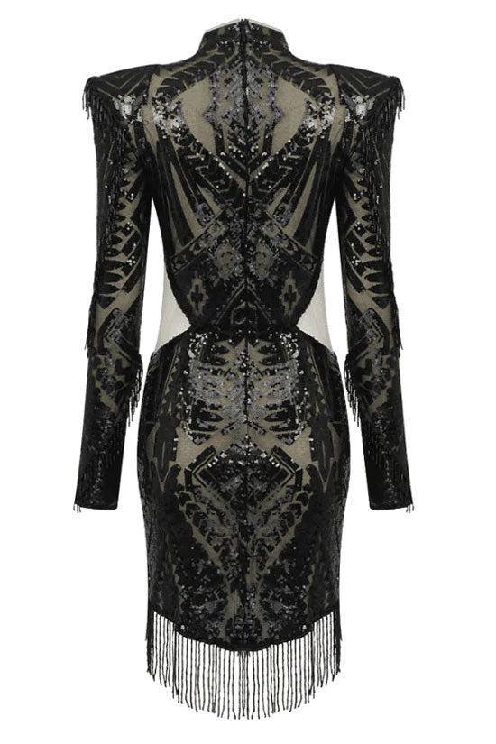 Glam Rhinestone Flower Sequin Sheer Mesh Fringe Micro Mini Party Mini Dress - Black
